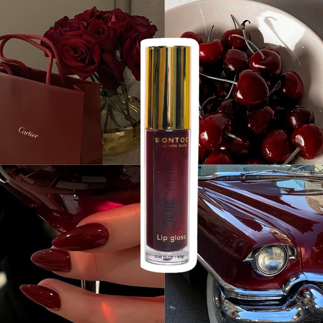 LIP GLOSS JUICY LIPS MONTOC