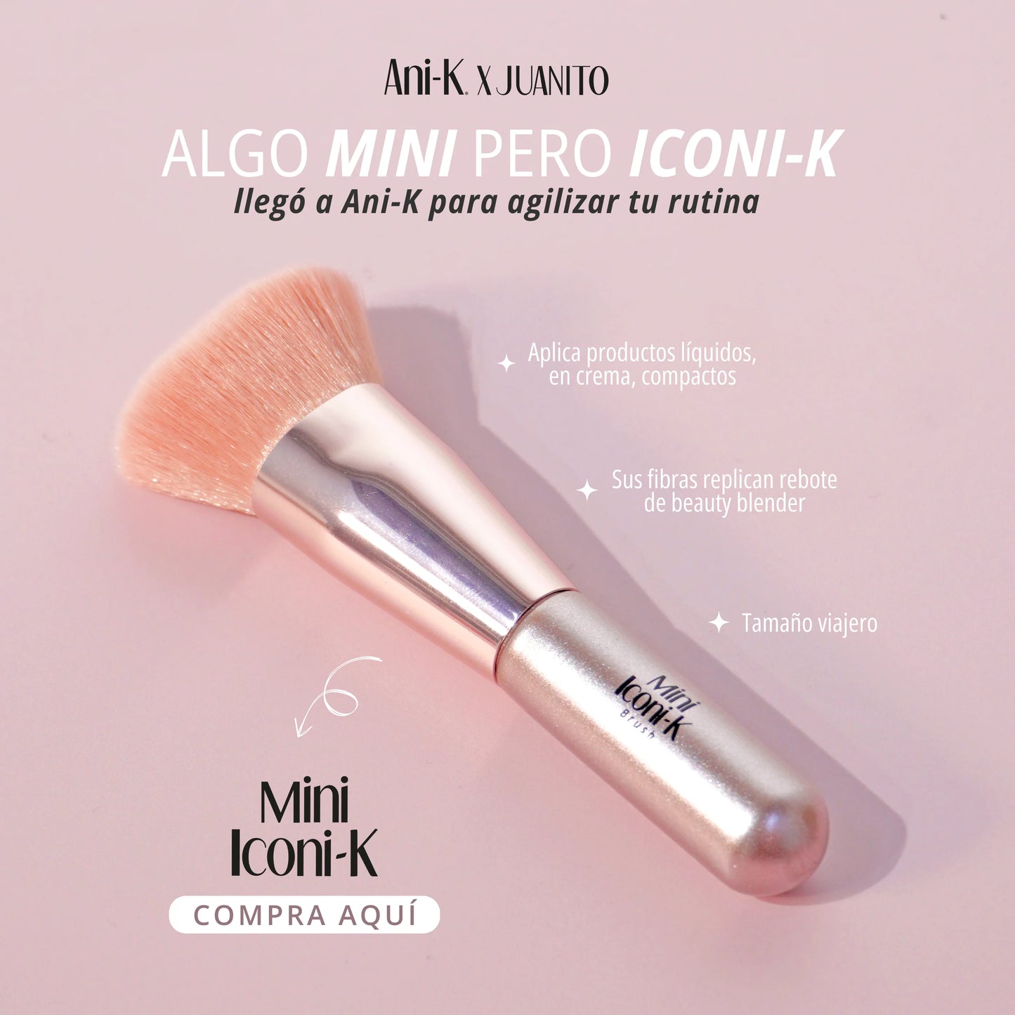 BROCHA MINI ICONIK DE ANIK