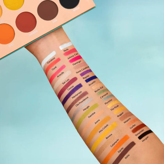 PALETA SOMBRAS X 30 #PROVIDENCIA 2 SAMY