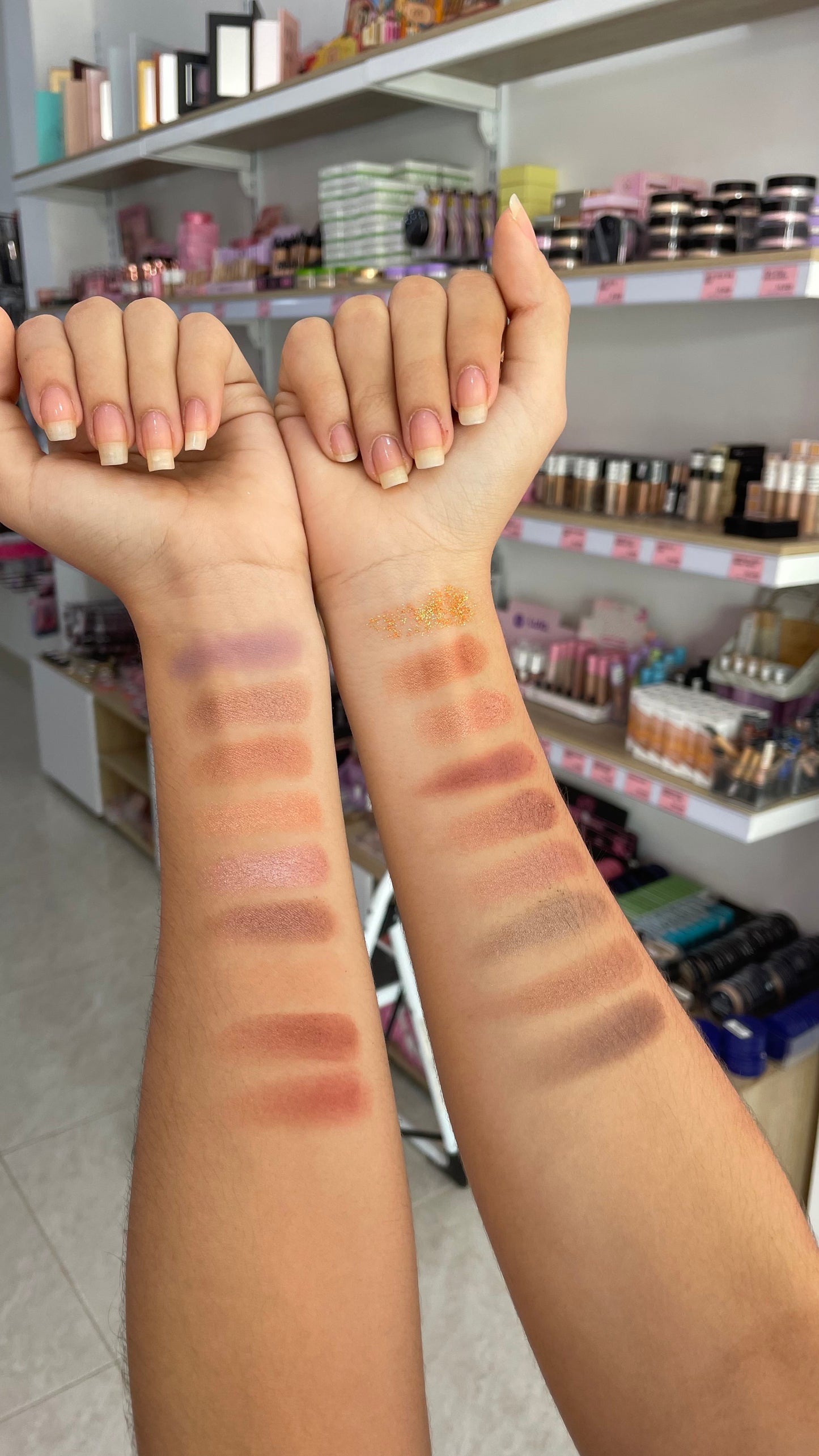 PALETA NICE LOFSHE X18 TONOS