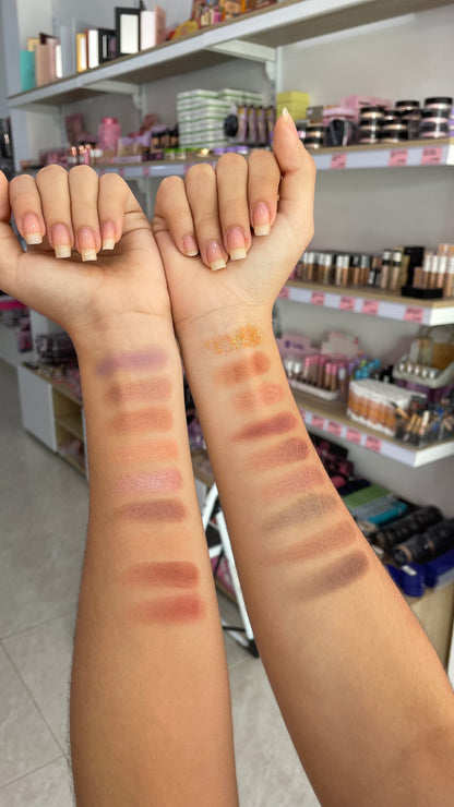 PALETA NICE LOFSHE X18 TONOS