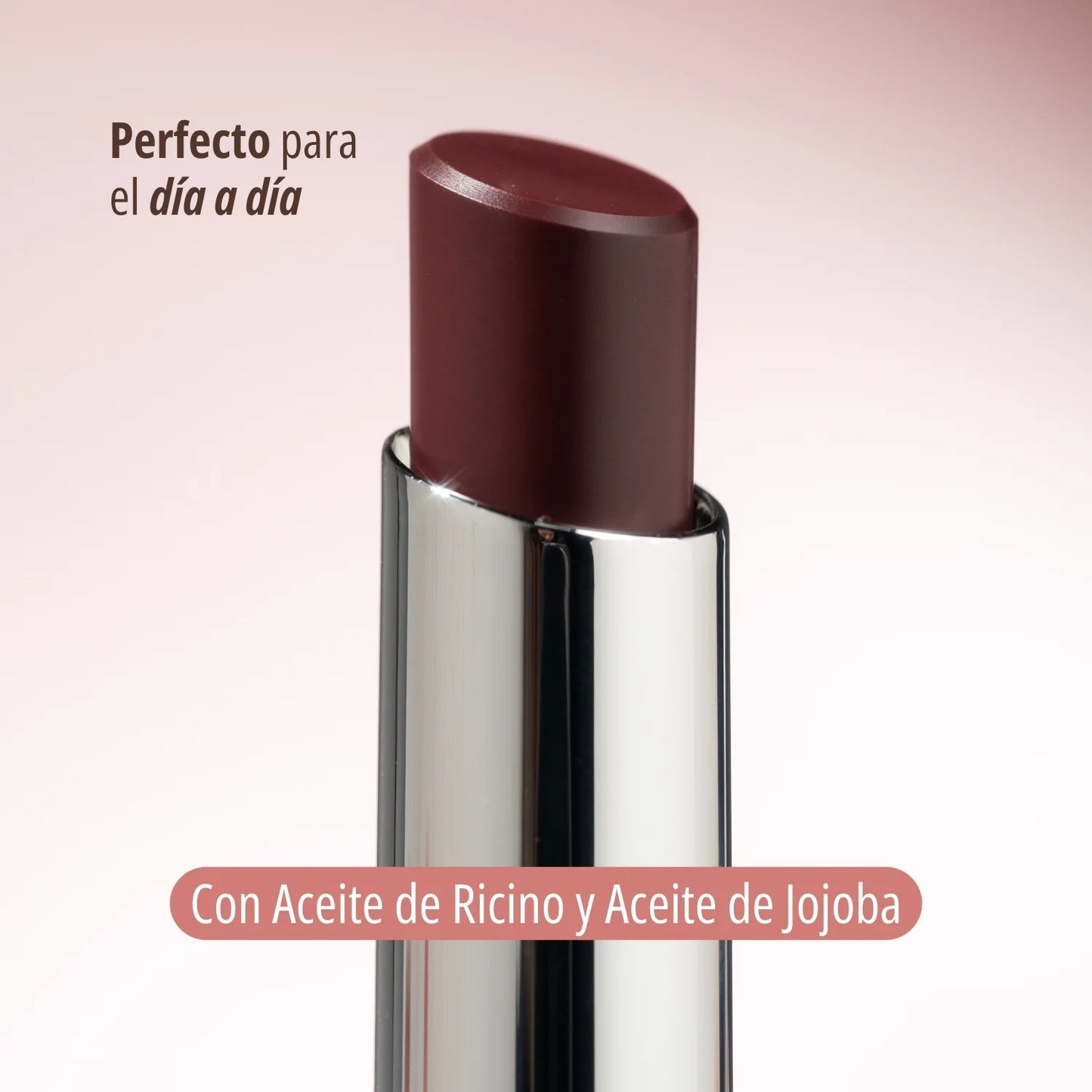 HIDRATANTE DE LABIOS LIP BALM ANIK