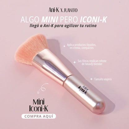 BROCHA MINI ICONIK DE ANIK