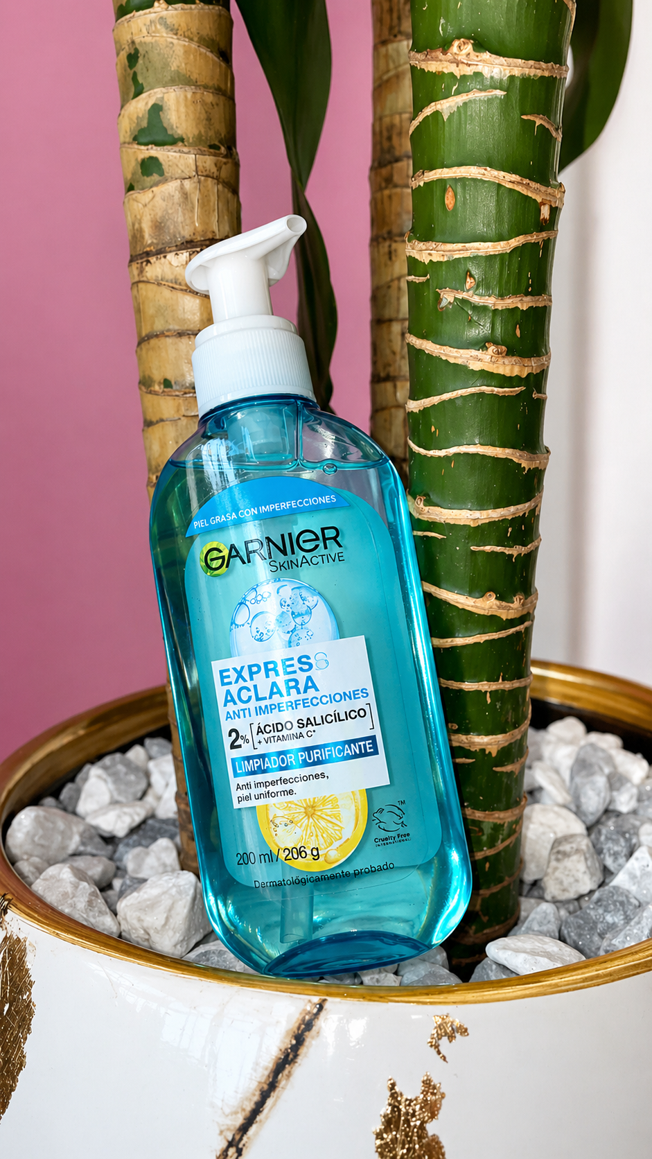 GEL LIMPIADOR EXPRESS ACLARA GARNIER 2% ACIDO SALICILICO
