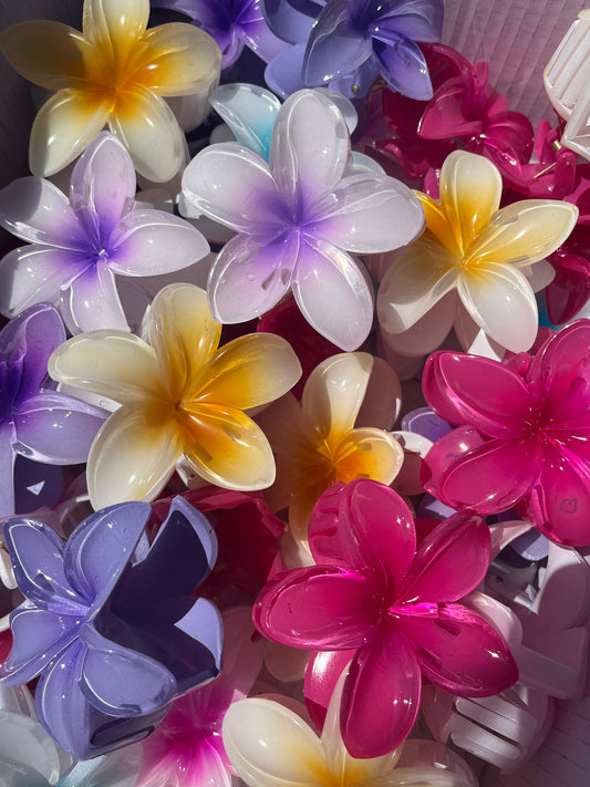 PINZA DE FLOR HAWAIANA ENGOL